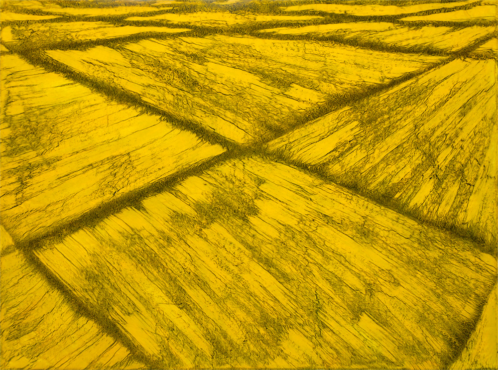 Cornfields, painting by Guido Vrolix