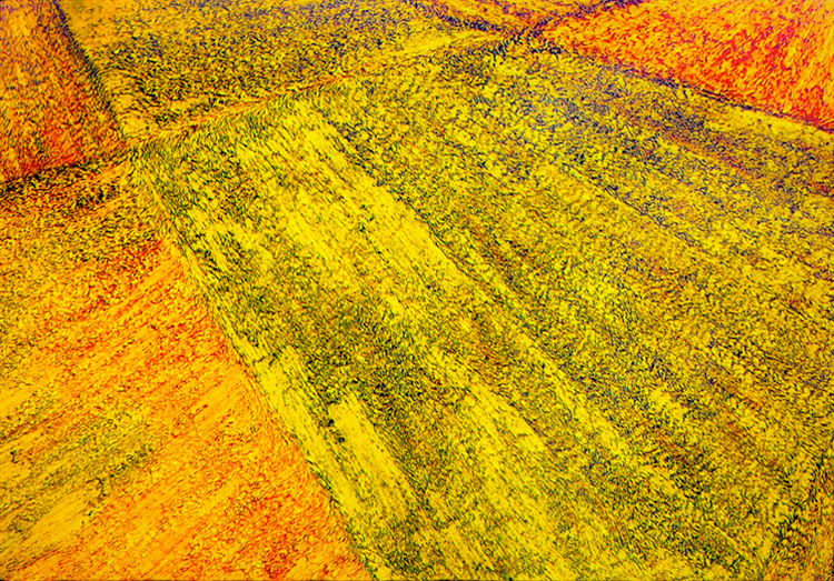 Cornfields, a painting by Guido Vrolix